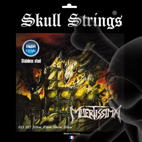 Photo de El Pradosaure Custom 13–56 guitar string set. nb 0